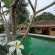 Photos Dream Field Resort