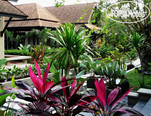 Hotel photo Montra 3*
