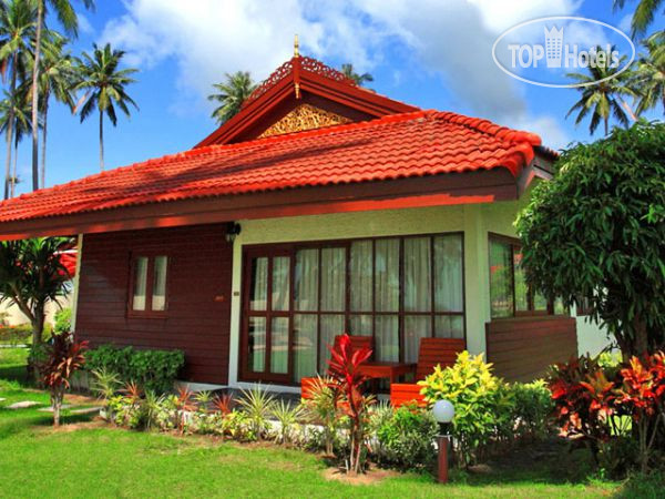 New photos from tourists Viva Vacation Resort 3*
