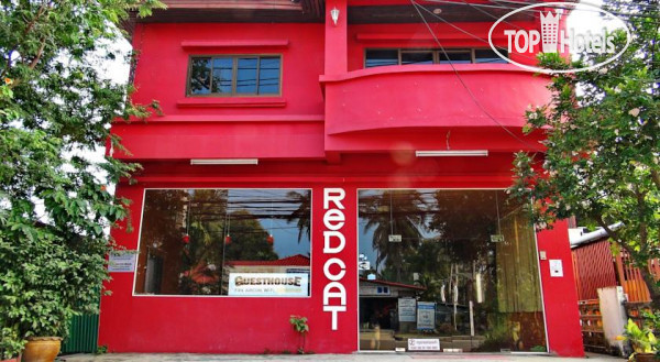 New photos from tourists Red Cat Guesthouse 2*