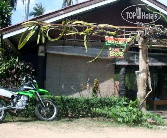 New photos from tourists Orchard House 3*