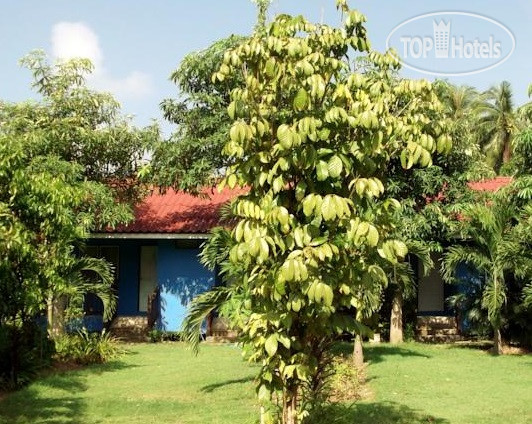 Photos Orchard House