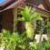 Фото Haad Yao Sunset Bungalow