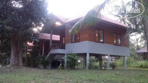 Hotel photo Paradise Lodge Backpackers 4*
