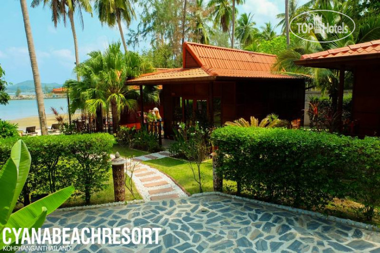 New photos from tourists Cyana Beach Resort 3*