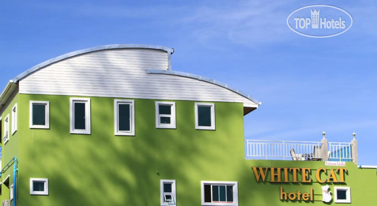 Hotelier's photos White Cat 2*