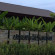 Photos Plytawan Resort
