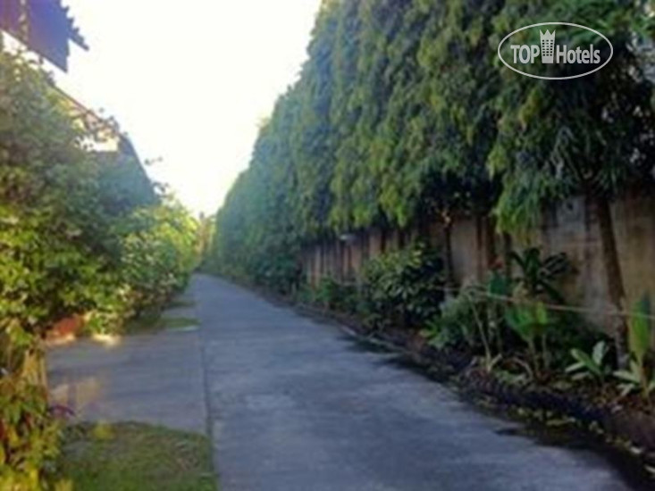 Hotelier's photos Palm Chalet Resort 1*