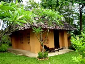 New photos from tourists Amys Earth House 2*