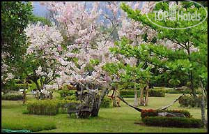 Photos Muang Pai Resort