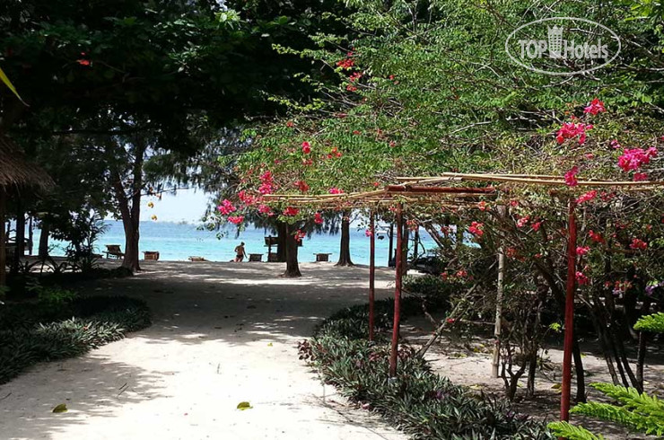 Hotelier's photos Green View Beach Resort 2*
