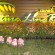 Nature Line Resort 3*