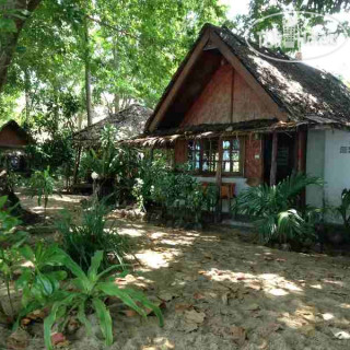 Фото Dawn Of Happiness