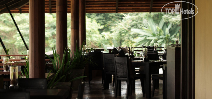 New photos from tourists Muthi Maya Forest Pool Villa Resort 5*