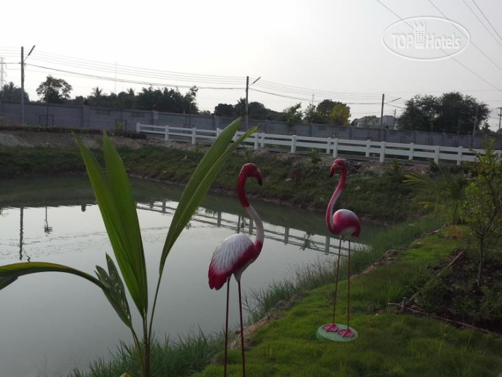 New photos from tourists Tokyo Country Inn 3*