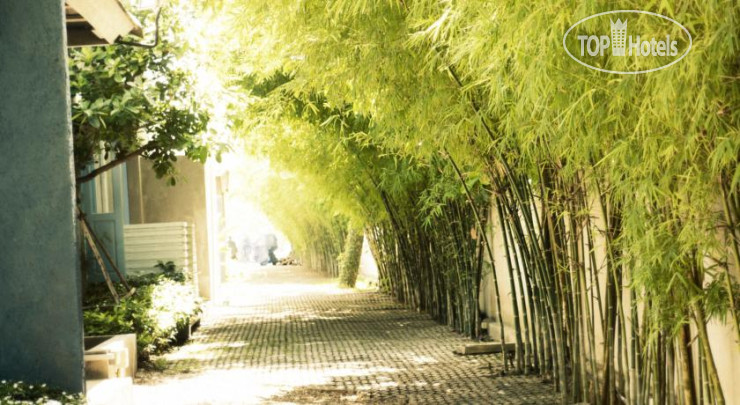 Hotelier's photos Pomelo Amphawa The Local Residence 4*
