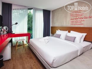 New photos from tourists Lima Duva Resort 4*