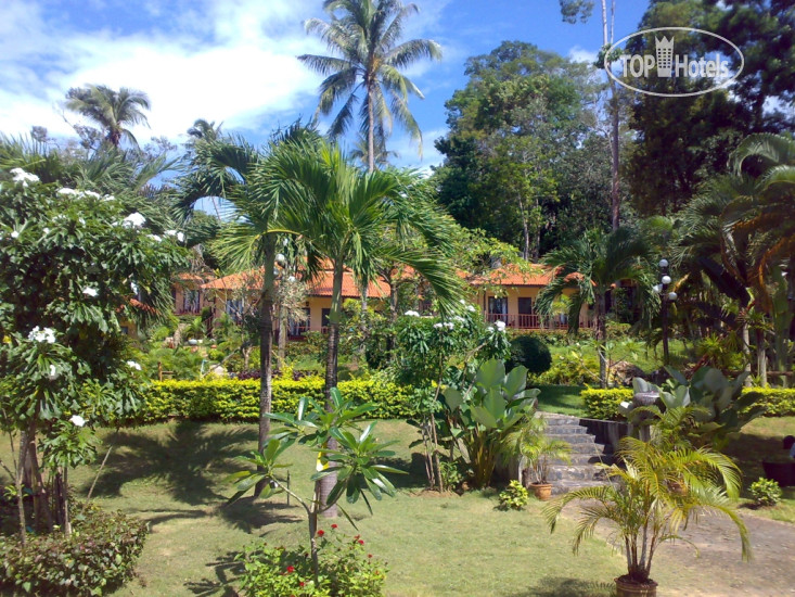 New photos from tourists Paradise Bungalows 2*