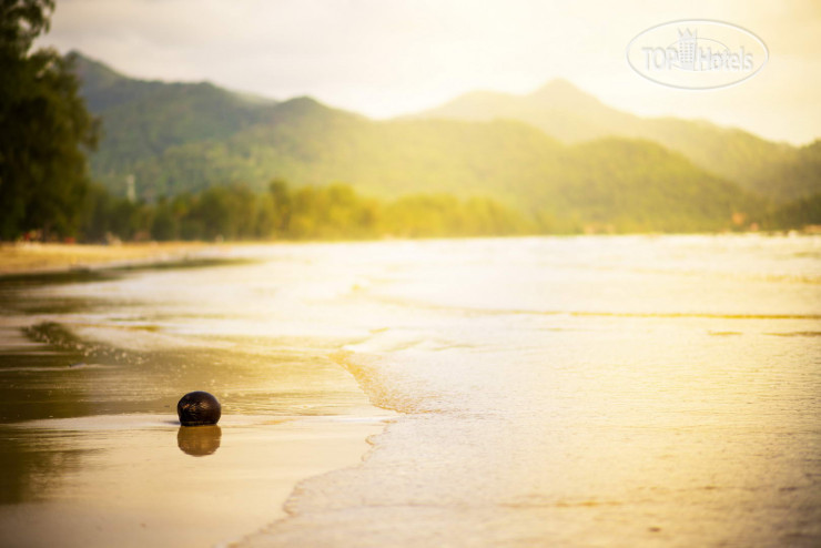New photos from tourists Pajamas Koh Chang Hostel 3*