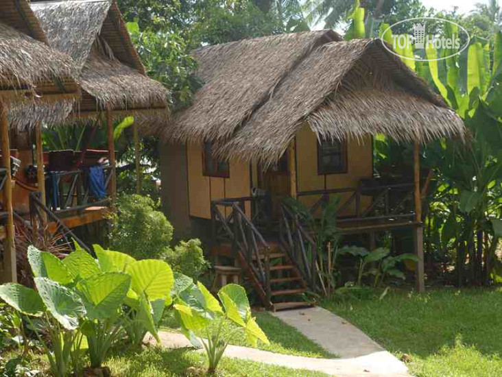 New photos from tourists Jungle Garden 2*