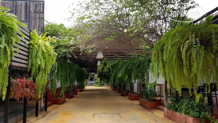 Hotel photo Amara Resort Hua Hin 3*