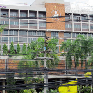 Photos Chiang Mai Orchid