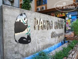 New photos from tourists Panda House Chiang Mai 2*
