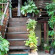 Фото Ruan Maii Guest House