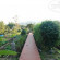 Photos Baan Thung Lakorn Organic Farmstay By Phusompor