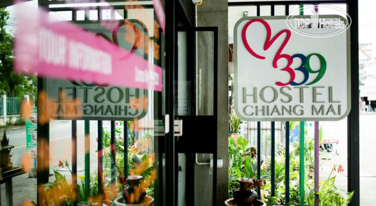 New photos from tourists 339 Hostel Chiang Mai