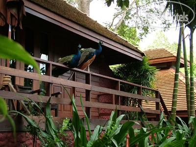 New photos from tourists Sukantara Cascade Resort and Spa 4*