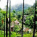 Фото Sukantara Cascade Resort and Spa
