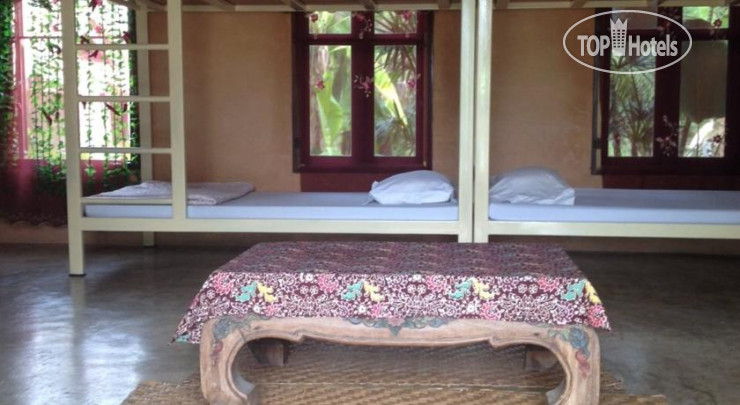 New photos from tourists Foreste Resort&Spa 3*