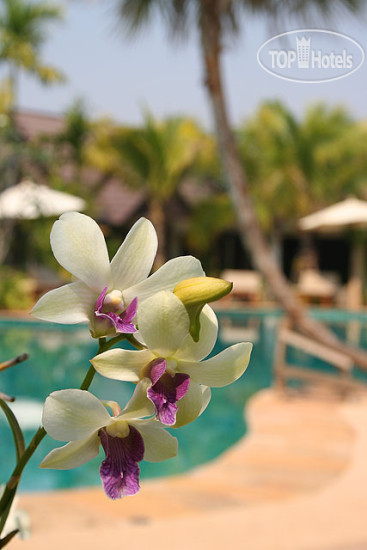 Photos Laluna Hotel & Resort