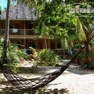 Фото Hippocampus