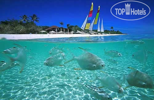 Hotel photo Amanpulo 5*