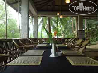 New photos from tourists Discovery Divers Dive Center and Resort 2*