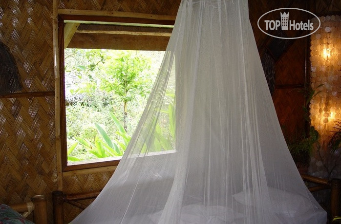 New photos from tourists Coco Beach Resort 3*