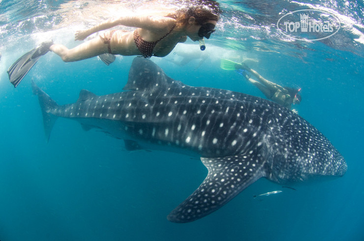 New photos from tourists Misibis Bay Resort & Casino 5*