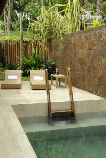 New photos from tourists Farm at San Benito 5*