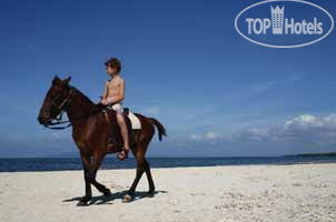 Новые добавленные фото туристов Ananyana Beach Resort 3*
