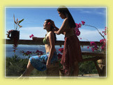 New photos from tourists Amarela Resort 4*