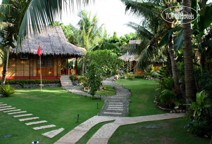 New photos from tourists Oasis Resort 3*
