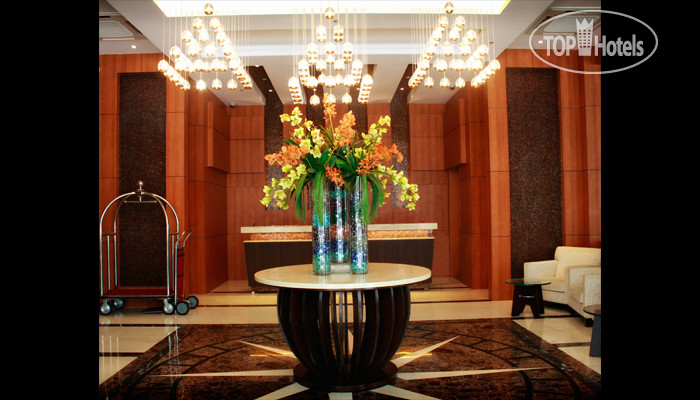 Новые добавленные фото туристов Harolds 4*