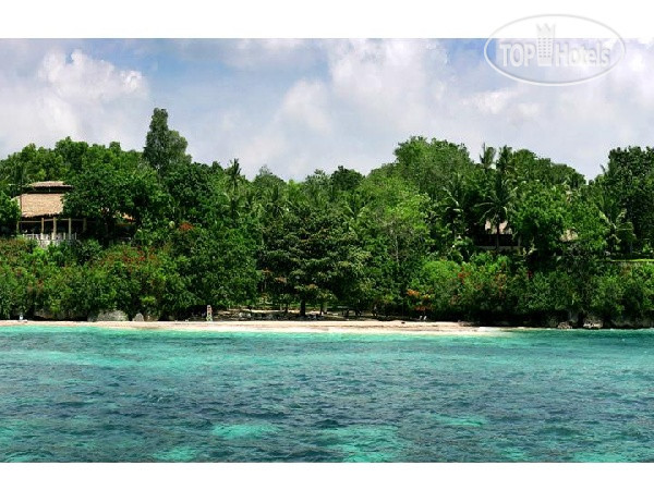 New photos from tourists Alegre Beach Resort 4*