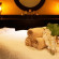 Фото West Hotel