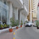 Фото Grand Continental Flamingo