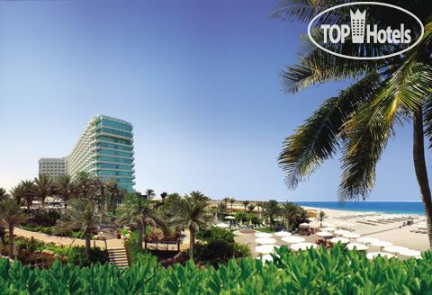 New photos from tourists Hilton Dubai Jumeirah 5*
