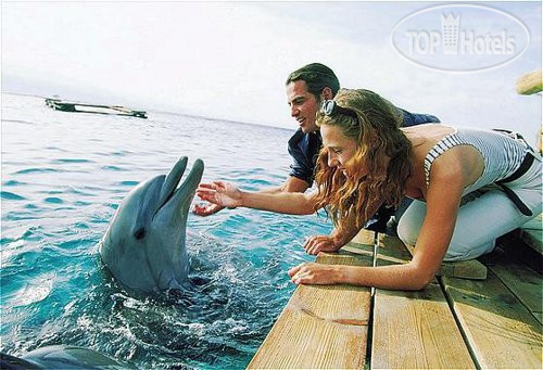 New photos from tourists Vert Eilat 4*