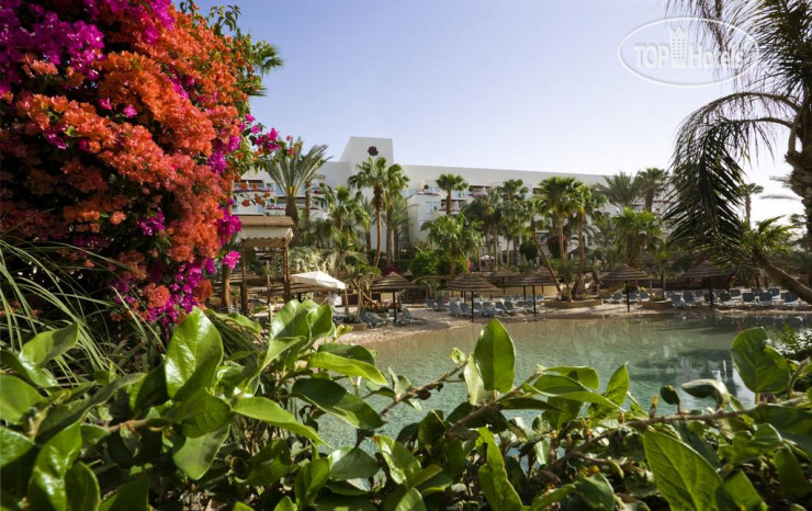 Hotelier's photos Isrotel Royal Garden 5*